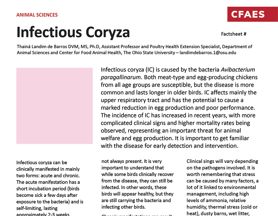 2023 Infectious Coryza graphic