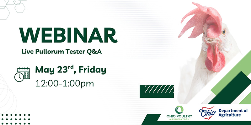 2025 Live Pullorum Tester Q&A  Webinar Flyer