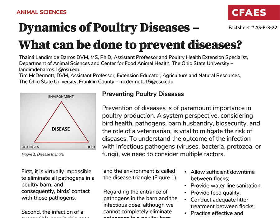 Dynamics of Poultry Diseases graphic