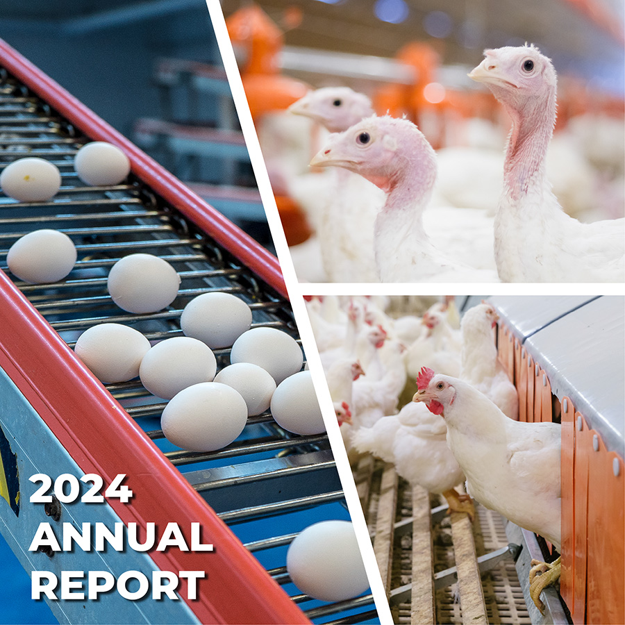 2024 Annual Report Cover Image