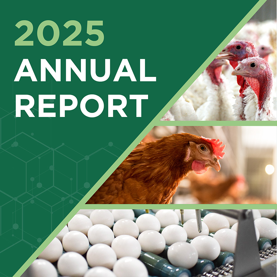 2025 Annual Report Cover Image