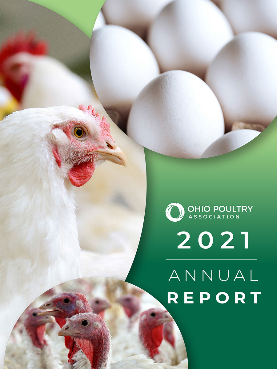 2021 Annual Report Cover Image